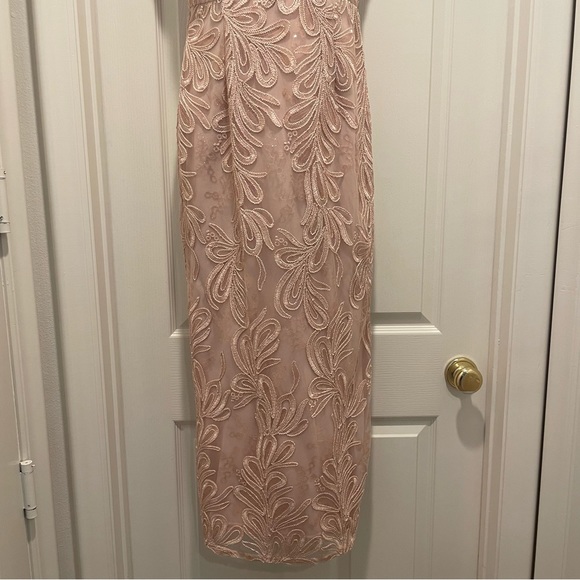 Gorgeous Blush Adrianna Papell Gown. Petite hemline. Mother of the Bride dress. - Picture 7 of 16